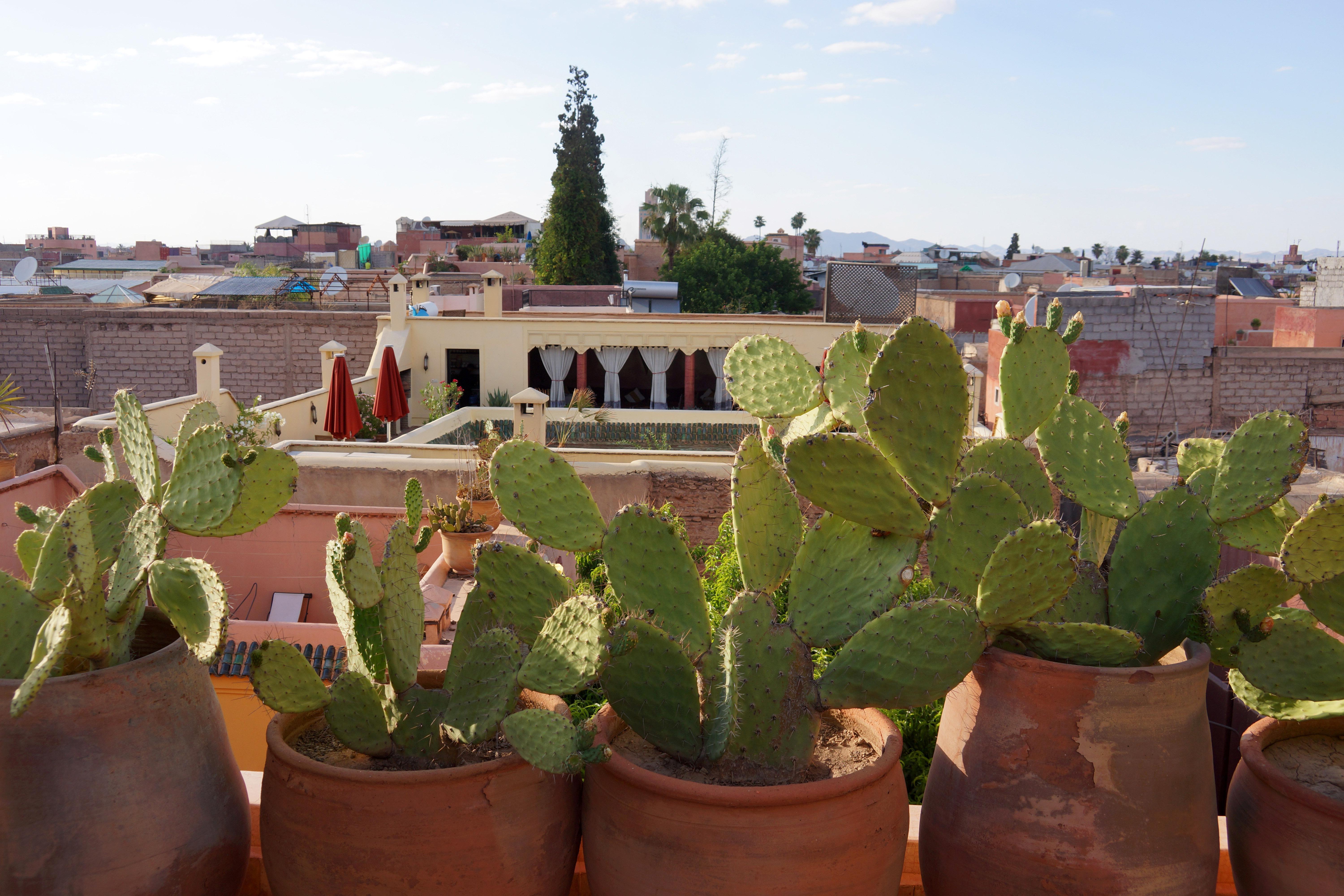 Riad Marrakiss Marrakesh Exterior photo